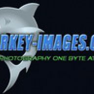 Sharkey-Images