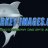 Sharkey-Images