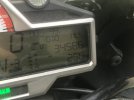 IMG_4682.jpeg