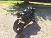 Black7502.jpg