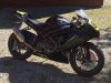 Black7503.jpg